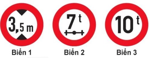 Câu 339