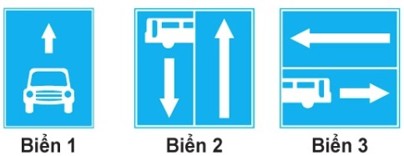 Câu 447